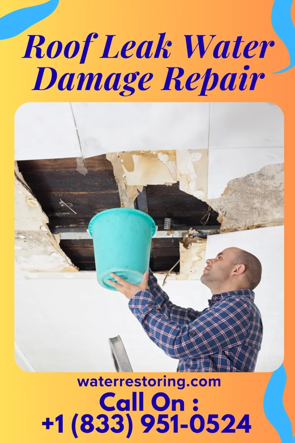 Roof Leak Water Damage Repair in Hayesville, OR